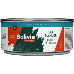Bolivia Bolivia lakplamuur 400gr acryl - 18854 - van Toolstation