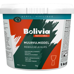 Bolivia Bolivia muurvulmiddel 1kg 18875 van Toolstation