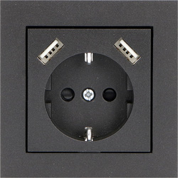 ProCharge / Afdekplaat wandcontactdoos 2x USB C Mat zwart