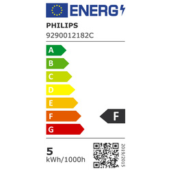 Philips LED lamp mat E27