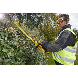 DeWALT / DeWALT DCM563P1-QW XR accu heggenschaar 3