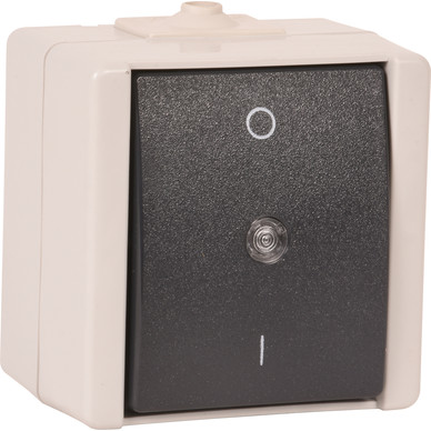 Stopcontact met serie schakelaar - Merk: Q-LINK Soort: Opbouw IP waarde