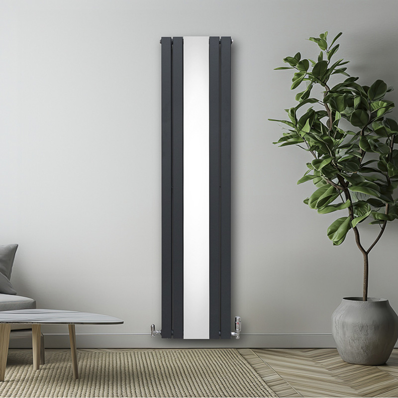 Monstershop / Platte spiegel radiatoren met TRV chroom kleppen