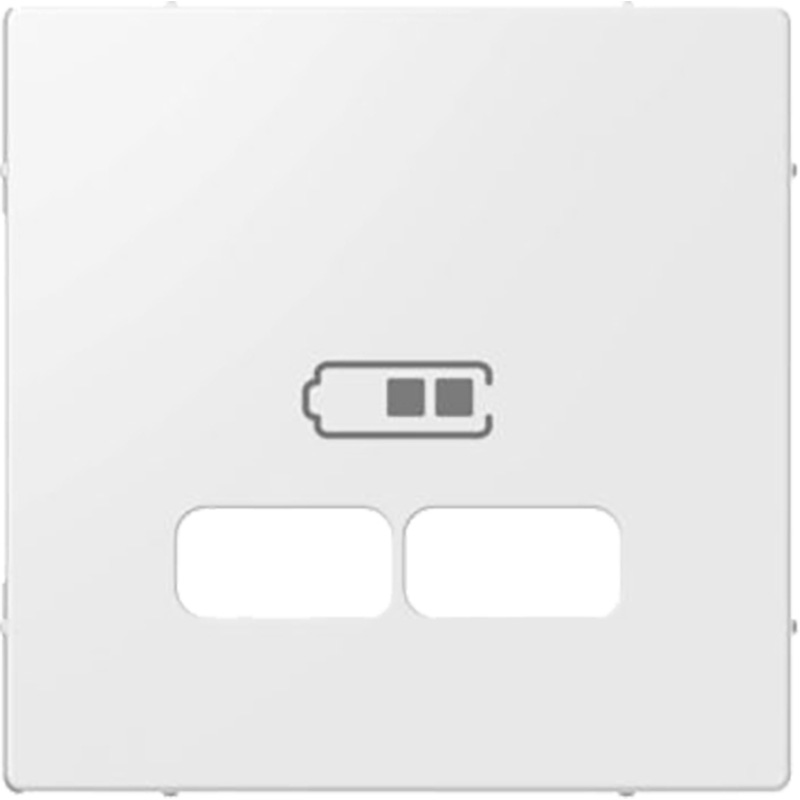 Schneider Electric Systeem-M centraalplaat USB