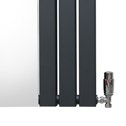 MonsterShop / Platte spiegel radiatoren met TRV chroom kleppen 5
