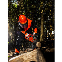 Portwest / Portwest bosbouw hoofd- en gehoorbescherming 2