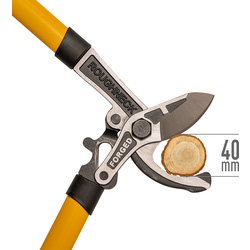 Roughneck / Roughneck XT Pro takkenschaar 5