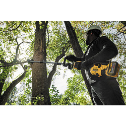 DeWALT / DeWALT DCMASPS5N-XJ 2