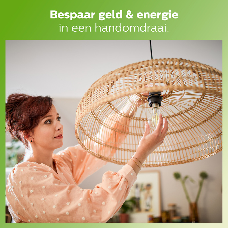 Philips / Philips LED lamp mat E27