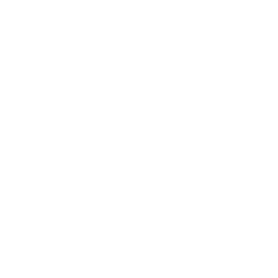 player_icon